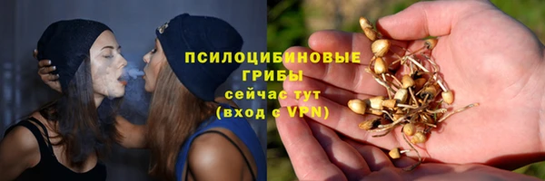 сатива Богданович