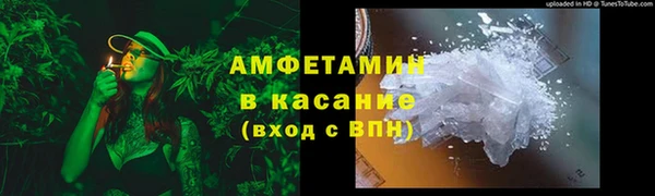 сатива Богданович