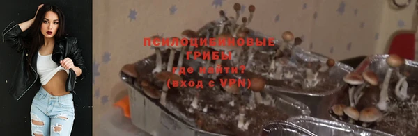 дурь Сосновка