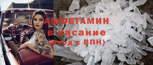 сатива Богданович