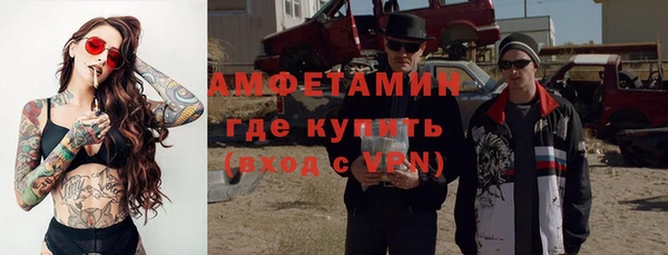 сатива Богданович